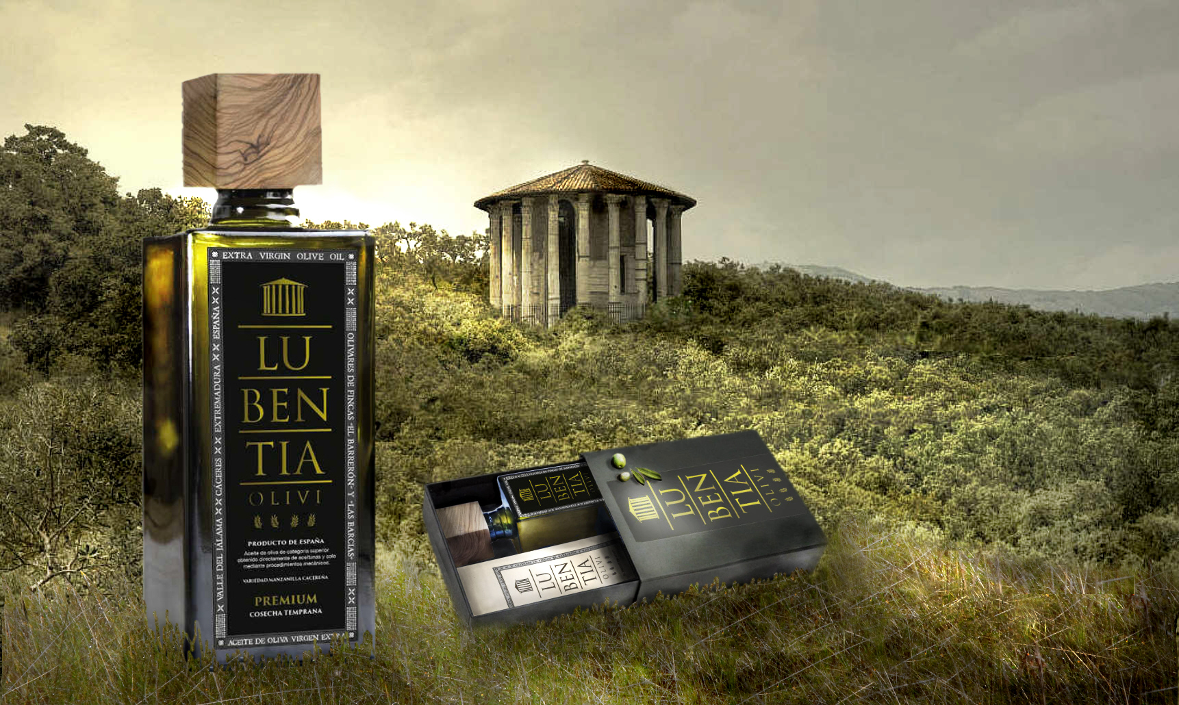 olivares con templo e hierba pp b PREMIUM